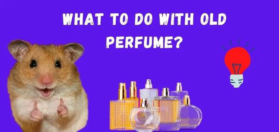 What to do with Old Perfume