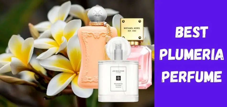 Best Plumeria Perfume