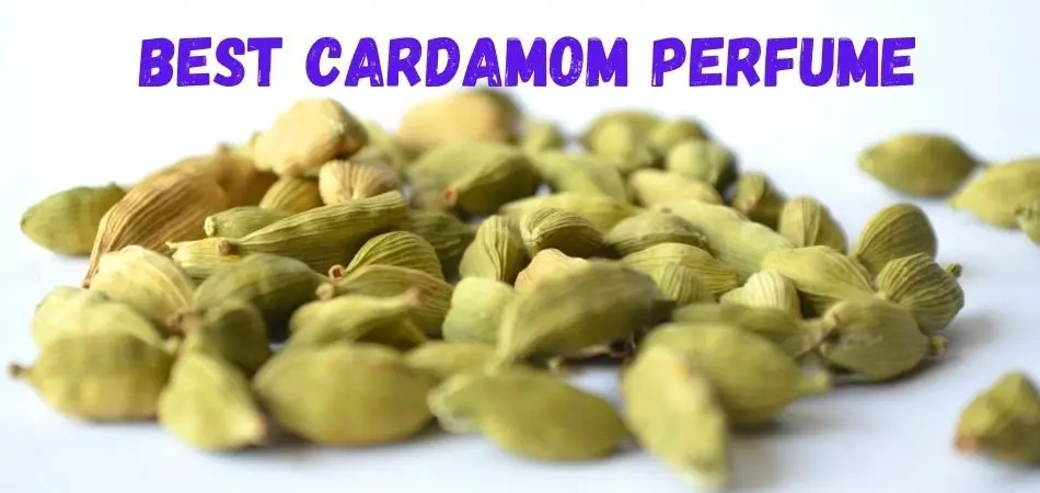 best cardamom perfume