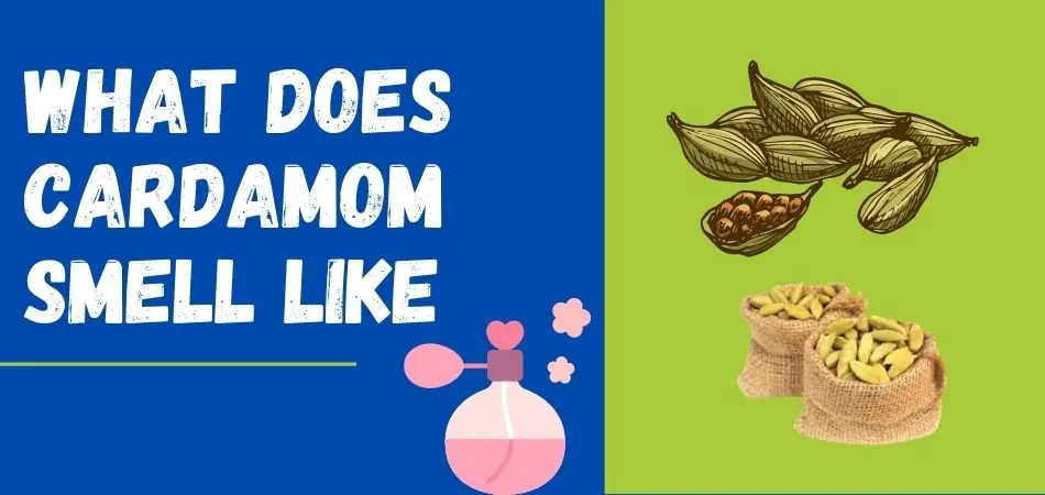 what does cardamom smell like