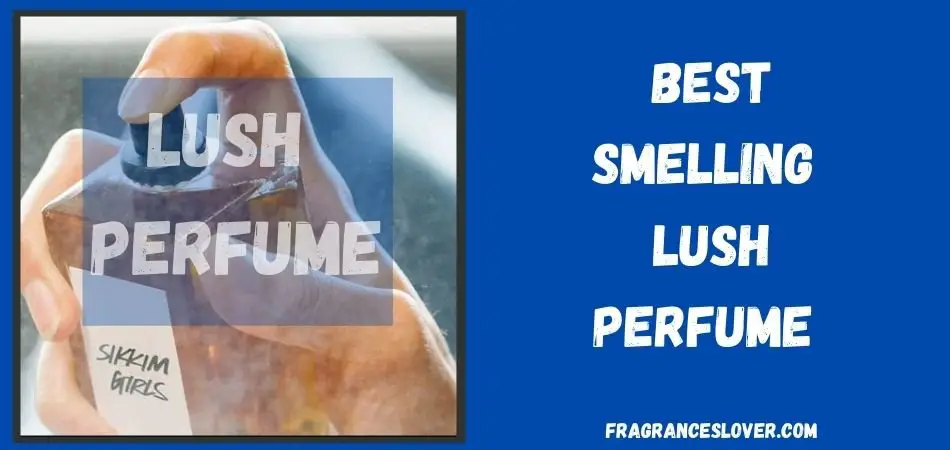 Best Lush Perfume