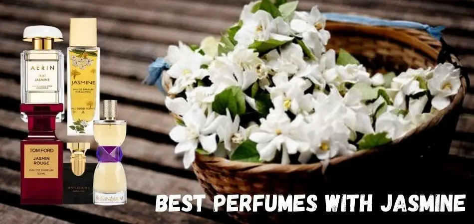 Best perfumes with Jasmine