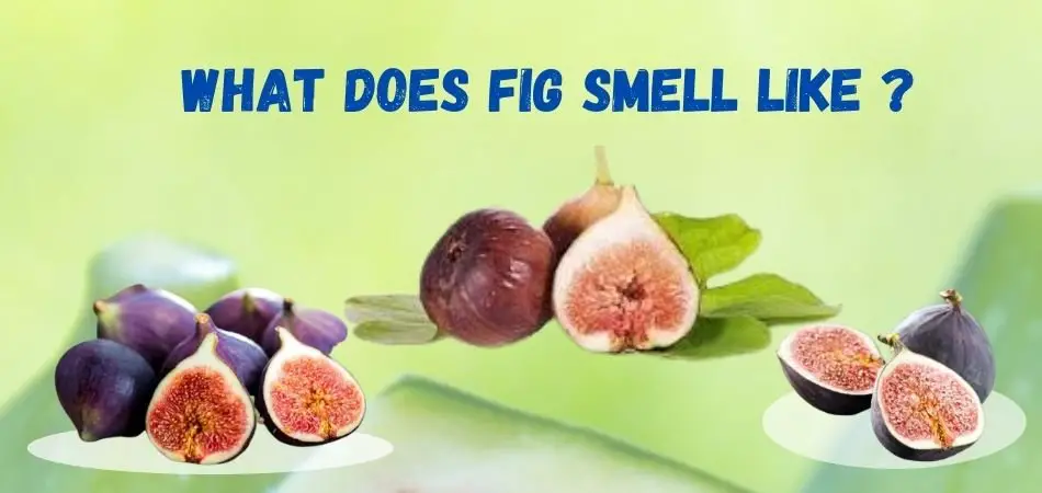 What does fig smell like