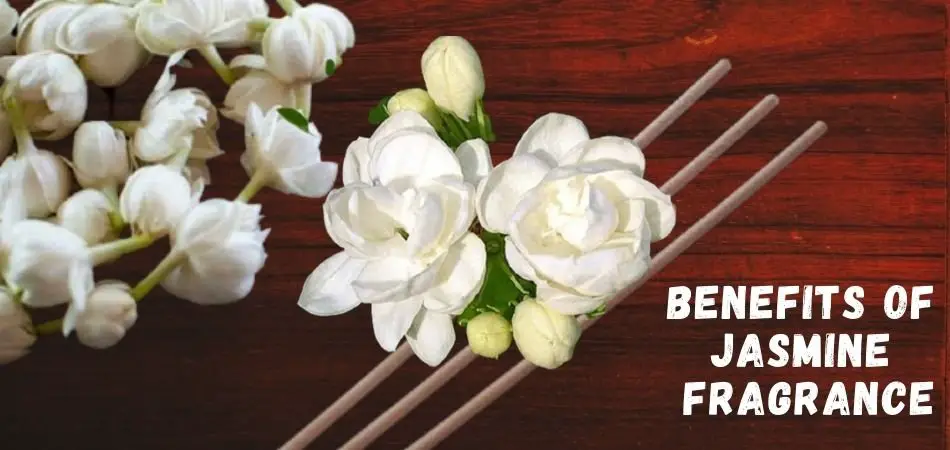 benefits of jasmine fragrance