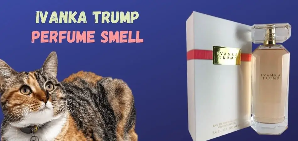 What Does Ivanka Trump Perfume Smell Like