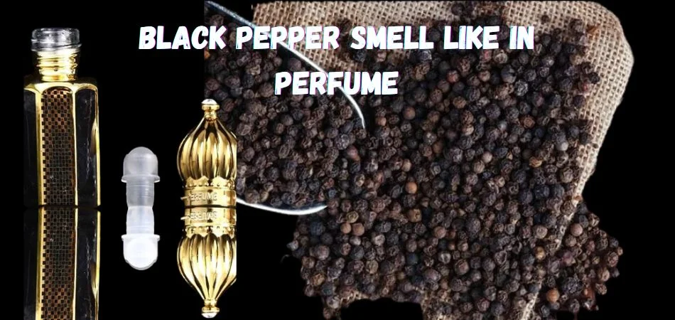 Black Pepper Smell Like in Perfume