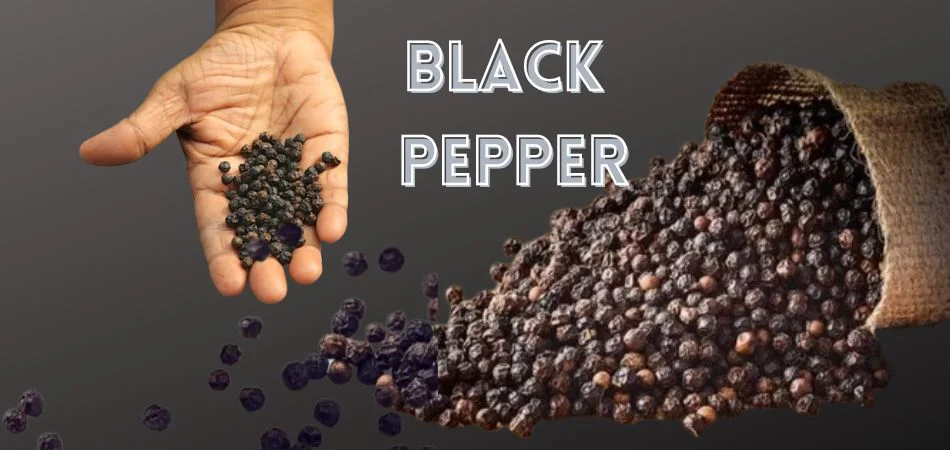 Black Pepper's Scent