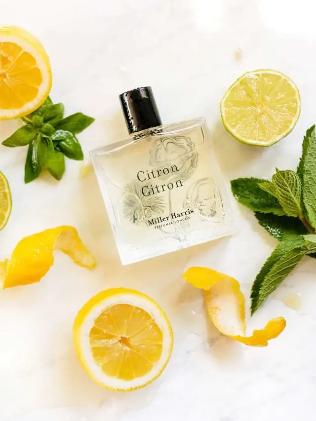 Citron_Flatlay_portrait-copy